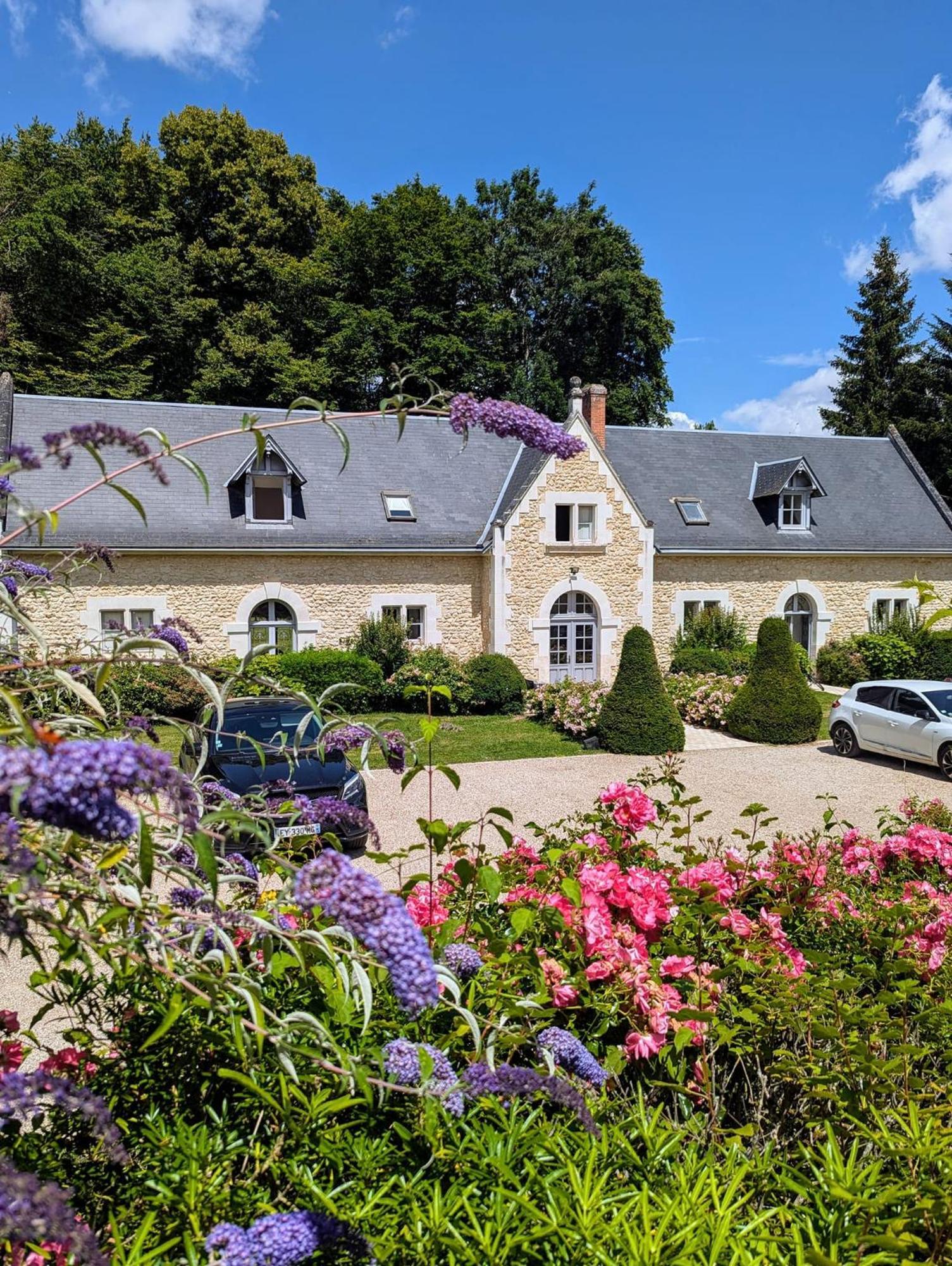 Chateau De La Menaudiere Chissay-en-Touraine Exteriér fotografie
