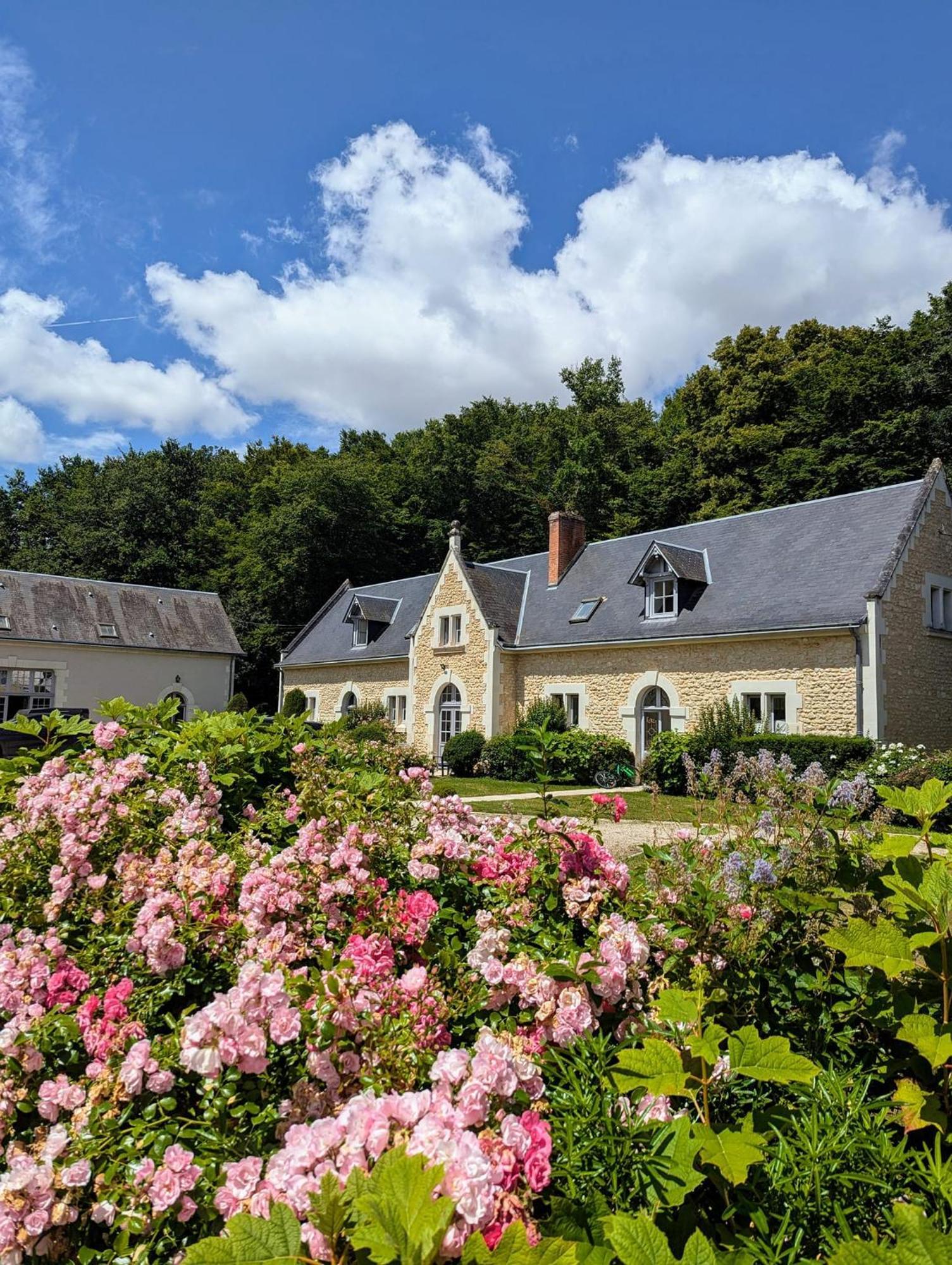 Chateau De La Menaudiere Chissay-en-Touraine Exteriér fotografie